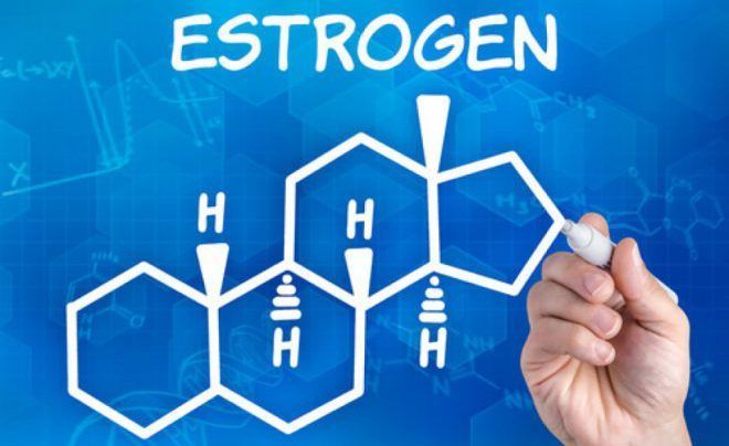 Уровень эстрогена значительно повышается