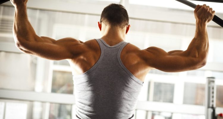 Эффективные упражнения для мышц спины