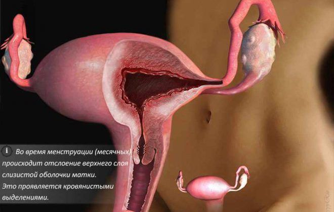 Менструации и кровянистые выделения