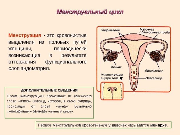 МКБ 10: нарушение менструального цикла