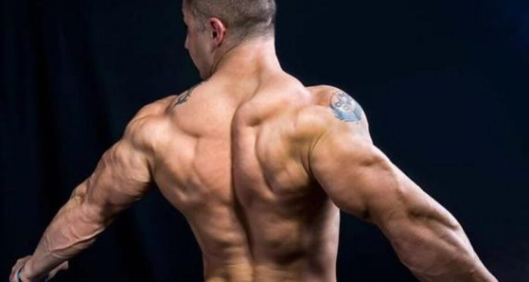 Глубокие мышцы спины: основные упражнения