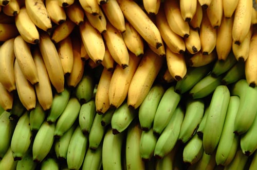 Плоды банана
