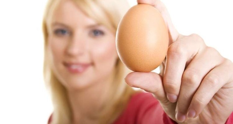 Можно ли есть каждый день яйца: полезно или вредно?